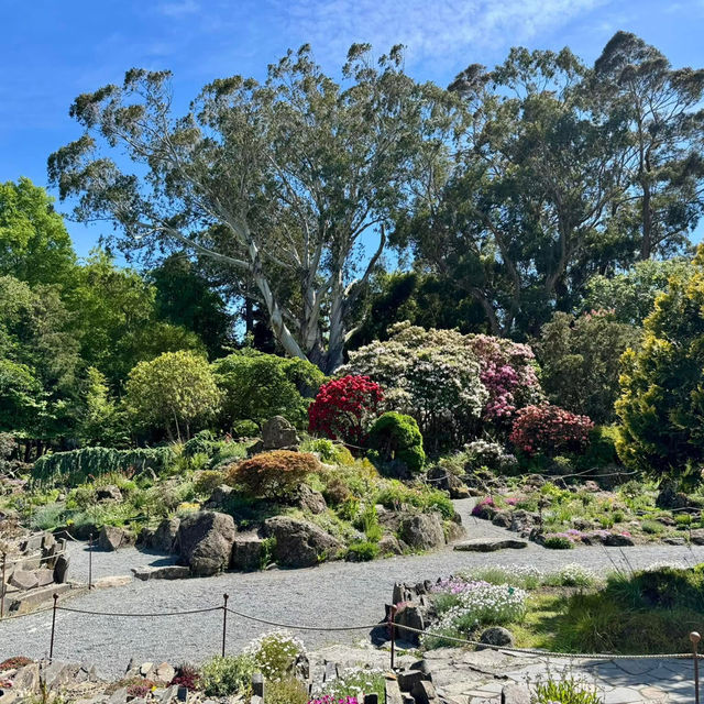 Christchurch Botanic Gardens 🌲🌴🌱🌿🍄🌹🌺🌾🌸