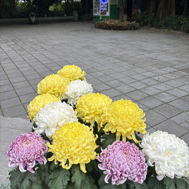 綠意盎然的城市秘境：臺北植物園遊記