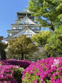 Osaka Castle: A Timeless Fortress in the Heart of the City