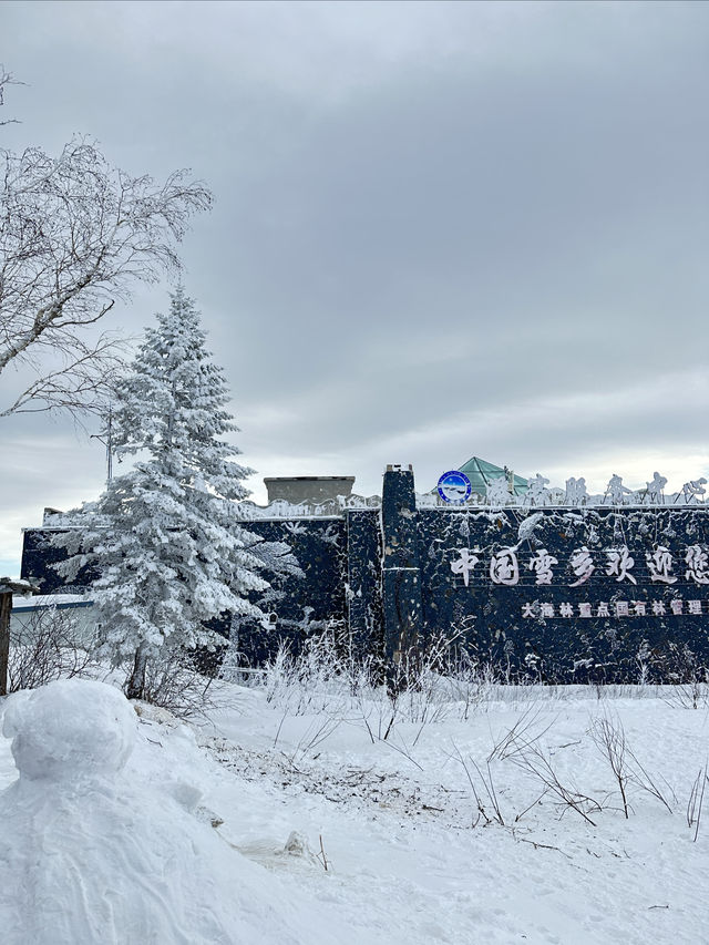 不是雪鄉住不起，而是雪谷更有性價比