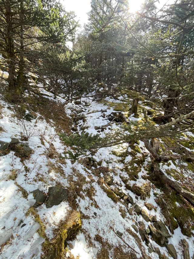 轎子雪山丨昆明人的冰雪小世界