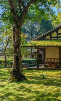 雲舍村