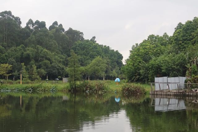 大夫山森林公園南門，坐落於廣州番禺的綠意盎然之地～