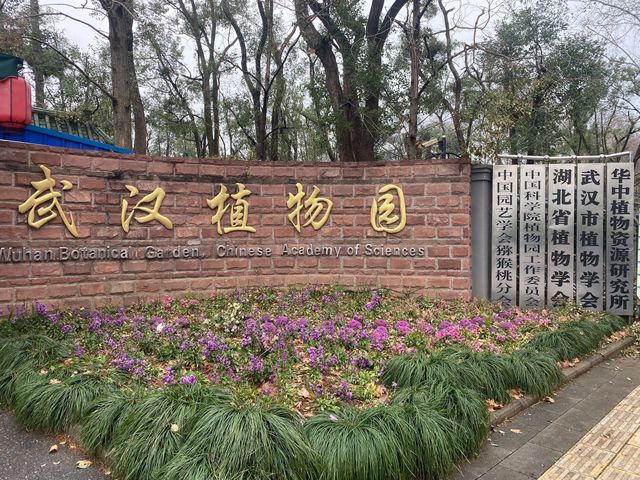 湖北武漢植物園。