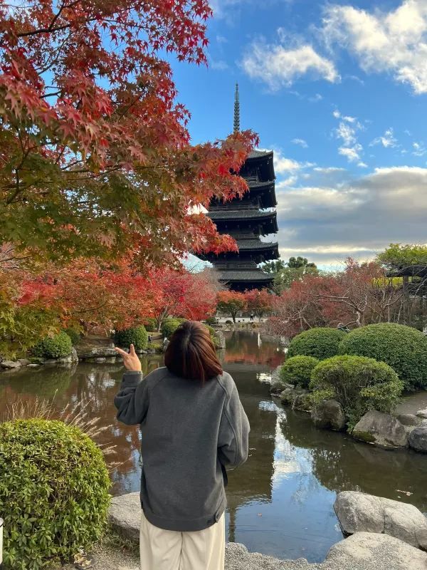 Explore the Stunning Autumn Foliage at Toji Temple in Kyoto!