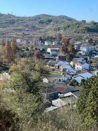 余姚中村景區｜登高賞秋