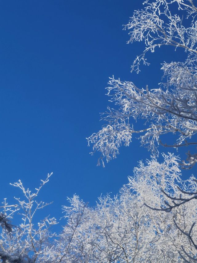 雪鄉等地2日遊 玩轉冬日童話世界超詳細攻略來襲