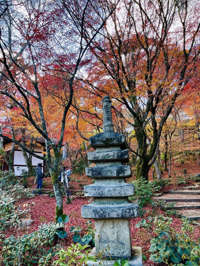 日本·京都