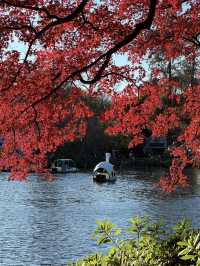 井之頭公園的自然之旅：東京的綠意秘境