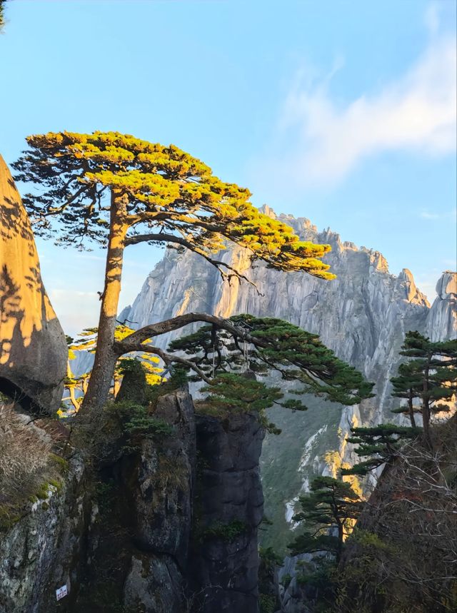 中國十大風景名勝唯一的山岳風光     黃山