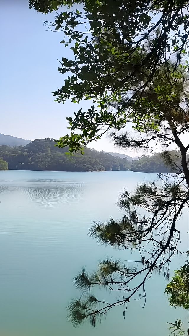 金台寺周邊旅遊攻略