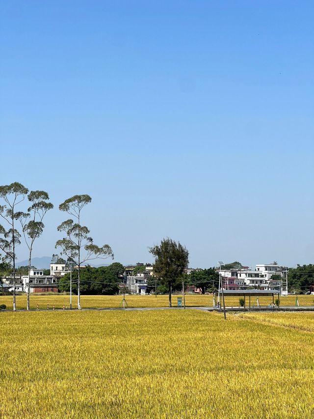 開平2日深度遊超全攻略速覽