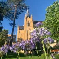 Perth | A Leisurely Walk at in downtown Perth and Elizabeth Quay 