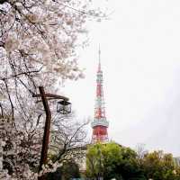 芝公園x 東京鐵塔