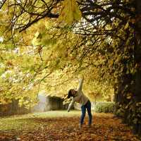 Wake me up when autumn comes to Ireland