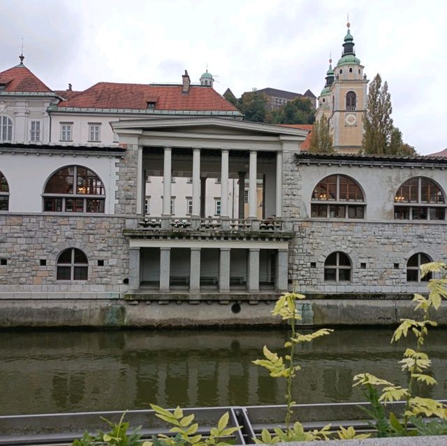 Ljubljana's center market is free to explore 