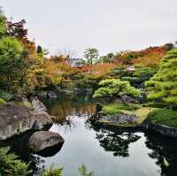 Nature’s Palette: Autumn Bliss at Kokoen Garden, Himeji!