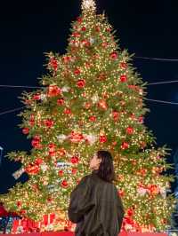 【神奈川県/横浜】リンツテディと煌めくクリスマスツリー🎄