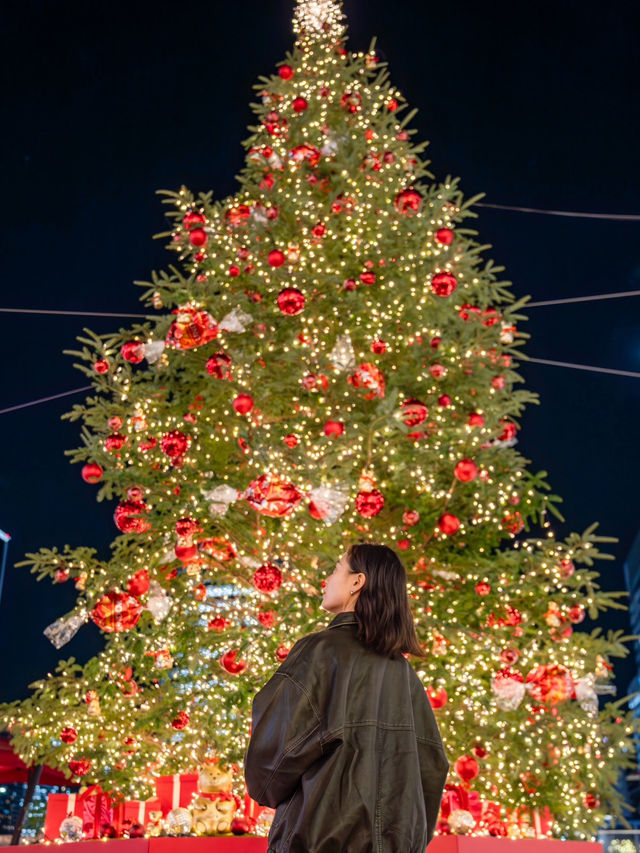 【神奈川県/横浜】リンツテディと煌めくクリスマスツリー🎄