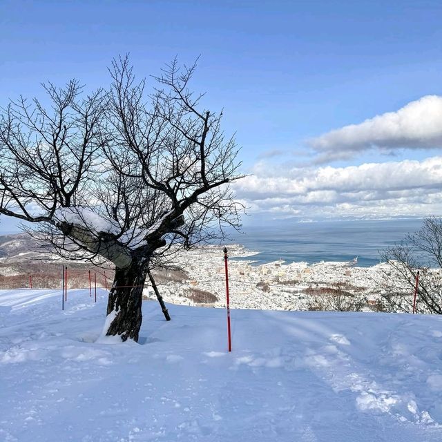 Scenic Skiing at Hokkaido Tenguyama