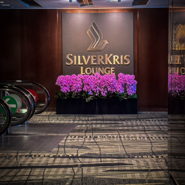 SilverKris Lounge in Changi Terminal 3: A Luxurious Layover Experience