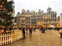 🇧🇪The Grand palace in Brussels🇧🇪🎄🥰