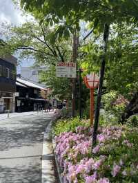 Gion District: Kyoto’s Timeless Beauty