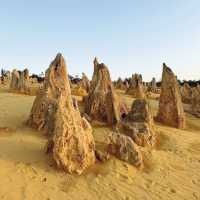 A Magical New Year at The Pinnacles: Western Australia’s Natural Wonder 🇦🇺