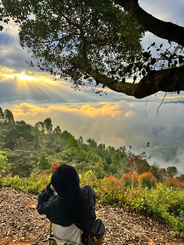 真的在廣州｜師爺山看日出還遇見超級雲海