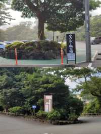 東京伊豆一日緊湊版 大室山+城崎海岸