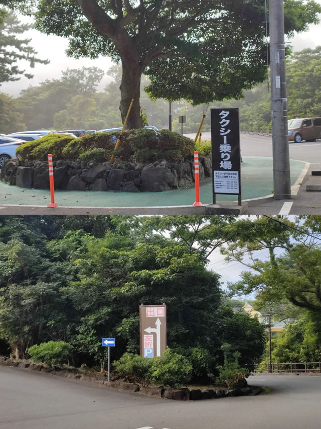 東京伊豆一日緊湊版 大室山+城崎海岸