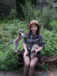 在雲南野生動物園拍到人生照片，真的不是非洲