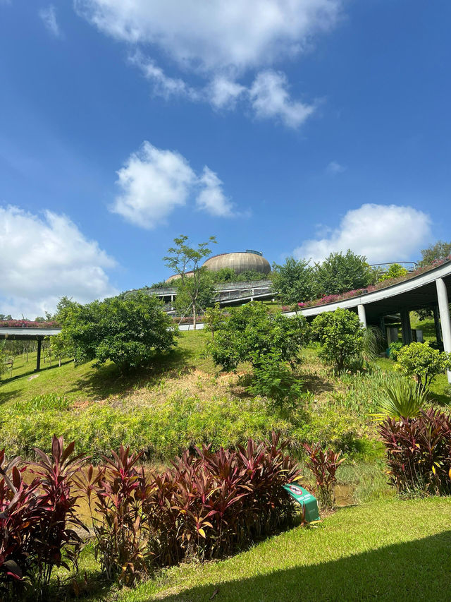 深圳公園｜城市裡的綠野仙蹤