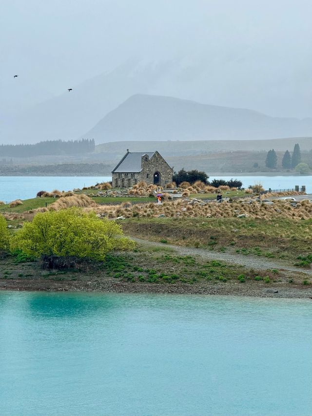 新西蘭南島北島反季玩法超全保姆級指南來啦！。