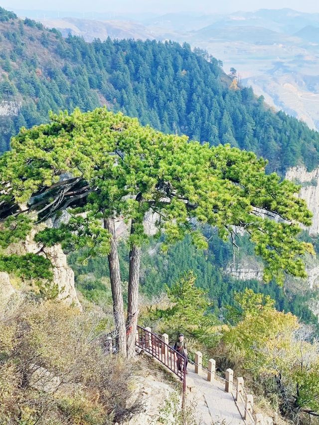 老少咸宜！大同附近最佳登山路線推薦，遊玩小貼士大公開。