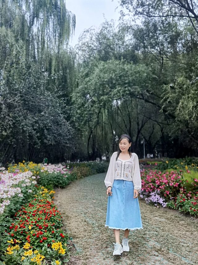 北京海淀公園也有了莫奈花園。