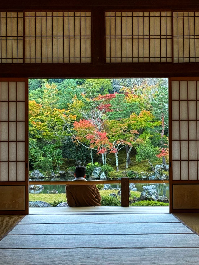 醍醐離宮，臨濟禪寺。