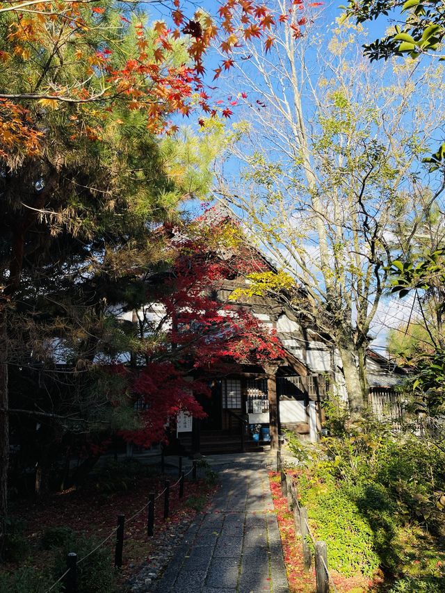 日本·京都清涼寺