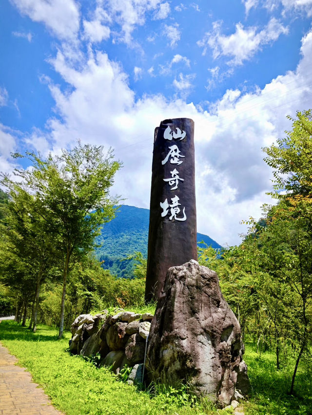 森林之歌：八仙山國家森林遊樂區的自然饗宴