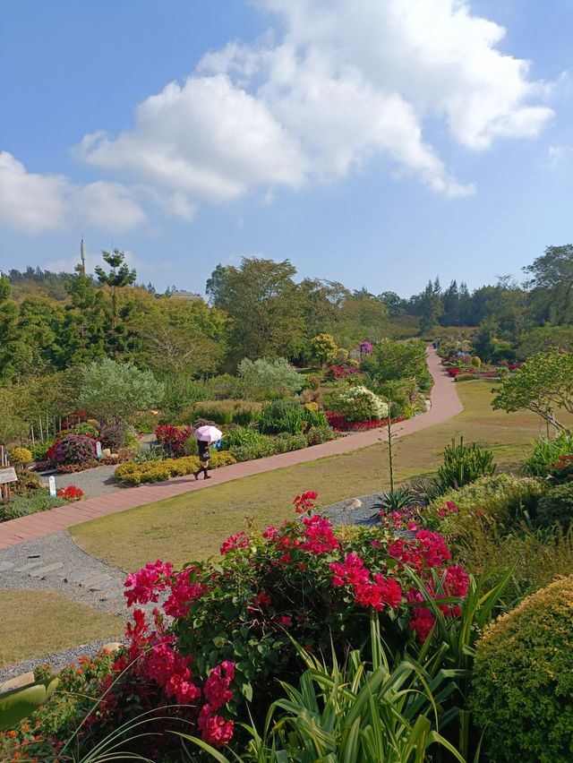 廈門植物園遊玩攻略