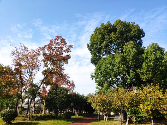 江都：三河六岸，風光旖旎