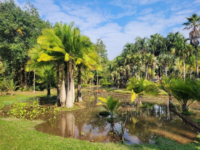 中科院熱帶植物園