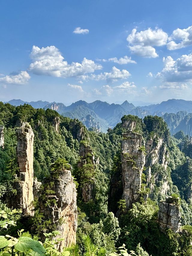 過年要去長沙-韶山-張家界旅遊攻略來啦