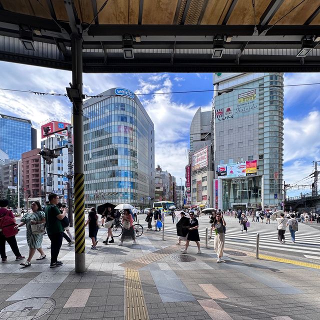 Shinjuku, a foodie heaven in Tokyo 🍱🍣🍜