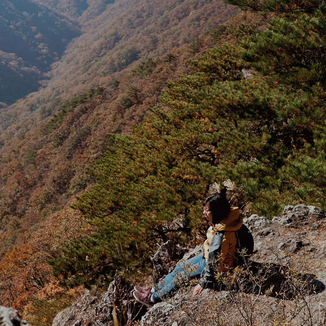 Autumn in Naejangsan – The Season of Yellow and Red