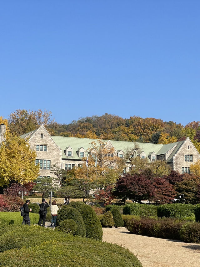 Autumn Foliage at Ewah University 