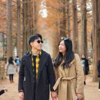 Escape to Nami Island: Seoul’s Perfect Day Trip