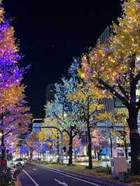 Enchanting Christmas at ILLUMIERE Synesthesia Hills: A Colorful Wonderland in Japan