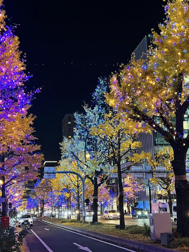 Enchanting Christmas at ILLUMIERE Synesthesia Hills: A Colorful Wonderland in Japan