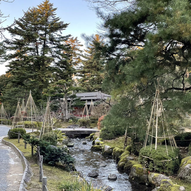 晚秋金澤漫步：兼六園的楓葉盛宴